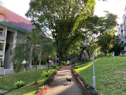 Braddell View (D20), Apartment #257292671